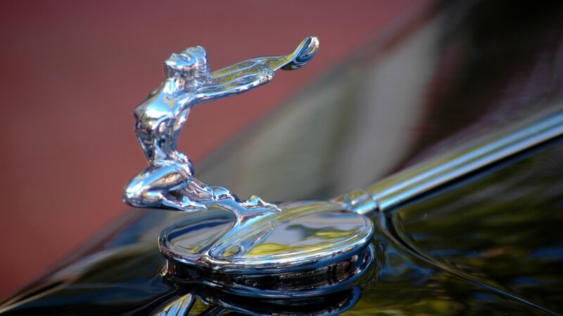 The lines of a woman...