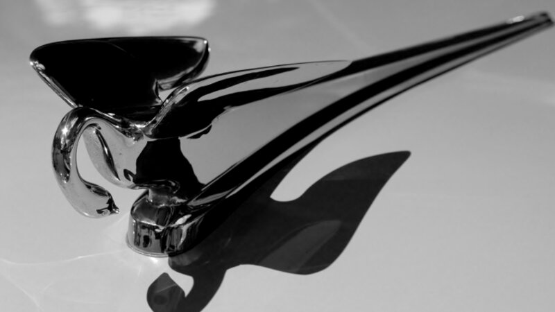 Wings of a Warrior