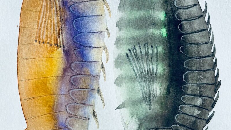 Painting in gouache, April, 2025.