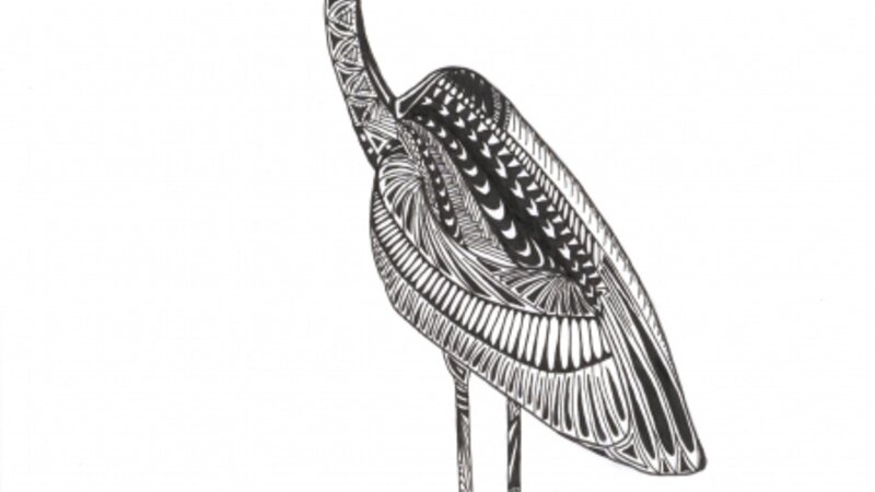Big Blue Heron