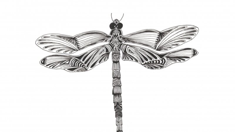 Dragonfly 