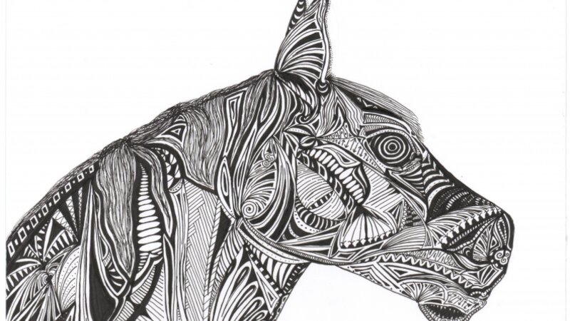 Horse