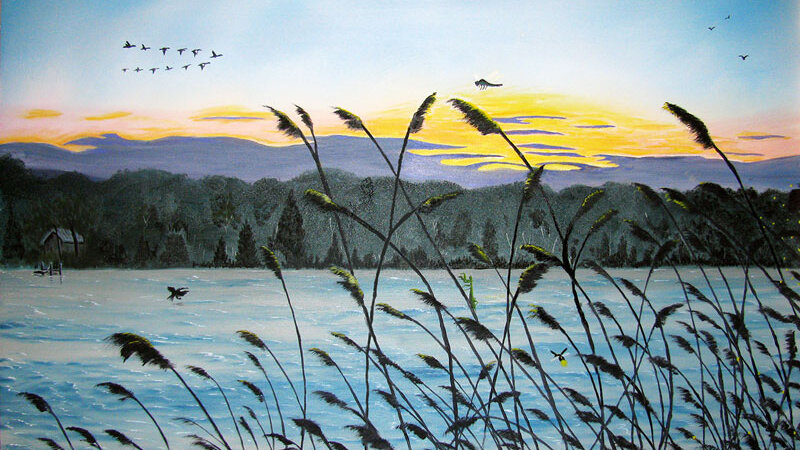 Days End on Shark River