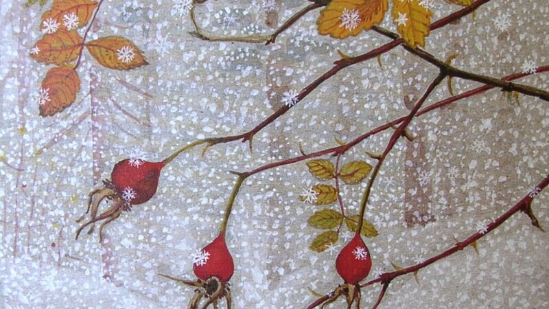 December. Rosehips.