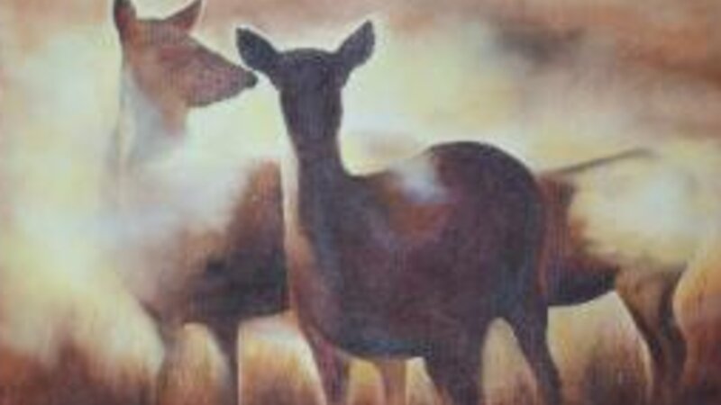 Deer in the Mist