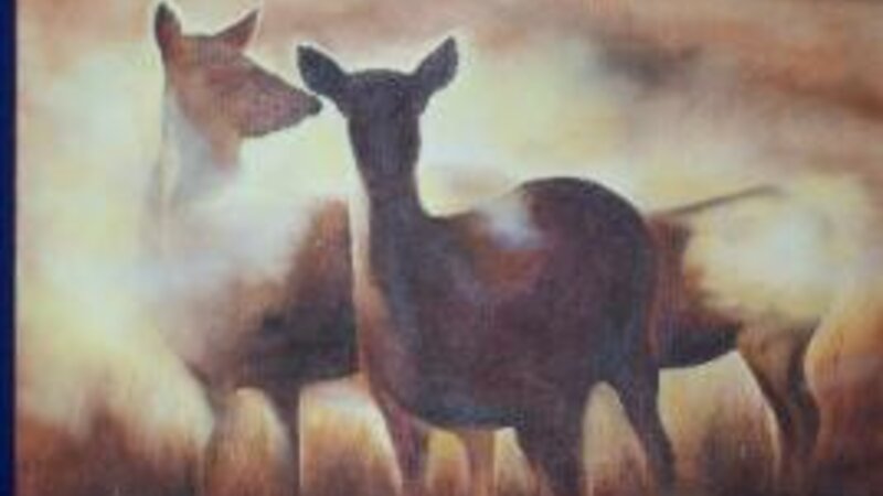 Deer in the Mist