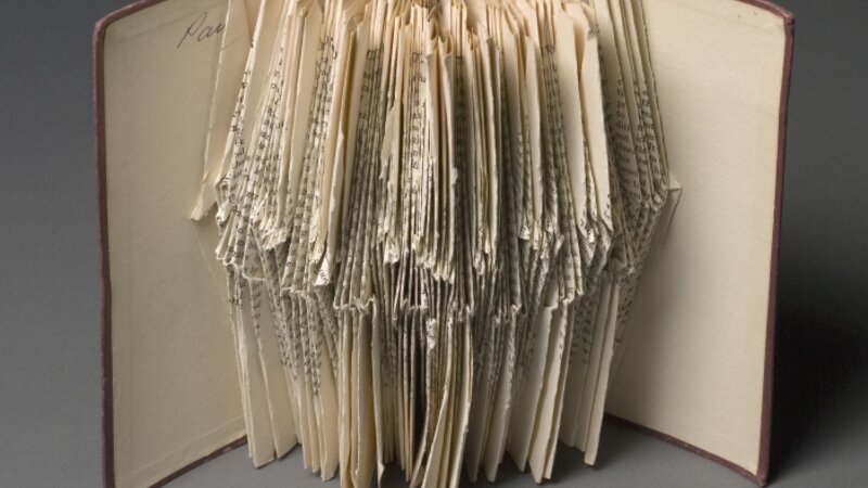 The Meaning of Democracy