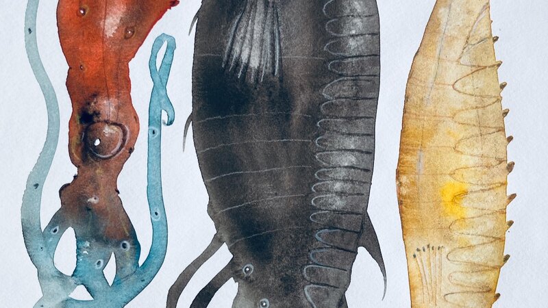 Gouache painting of imaginary fish, June, 2024. 