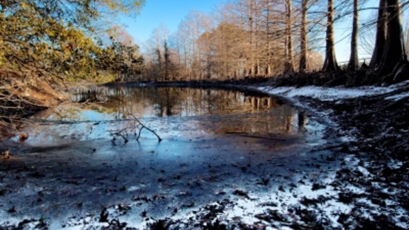 Denman Estate Pond