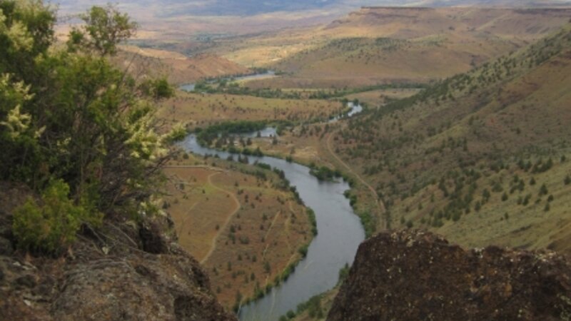 View From The Top