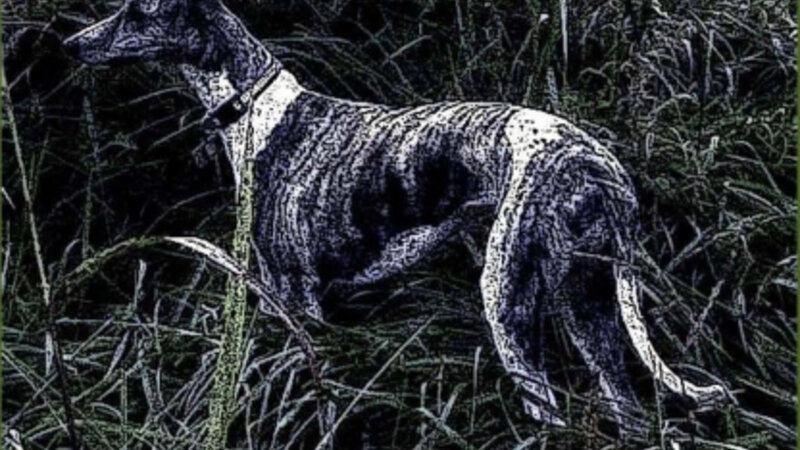 Digital Rendering- "Hunting"