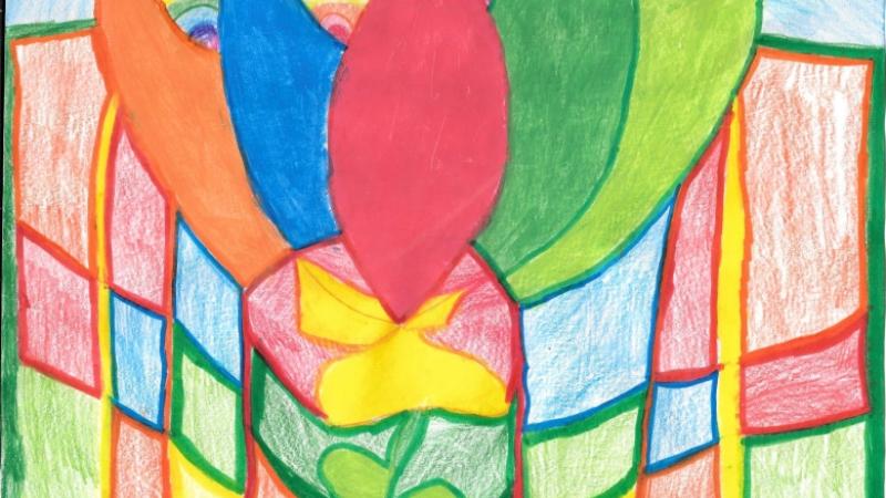 Celebration of colors in mother nature