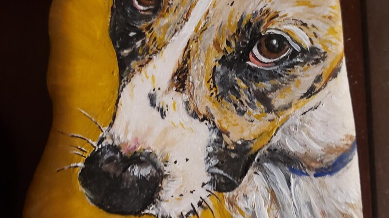 Closeup of Dog painted on rock, focusing on eyes.