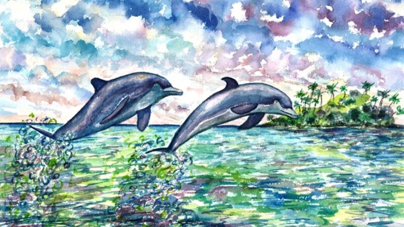 Dolphins At Play
