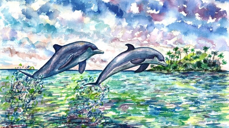 Dolphins At Play