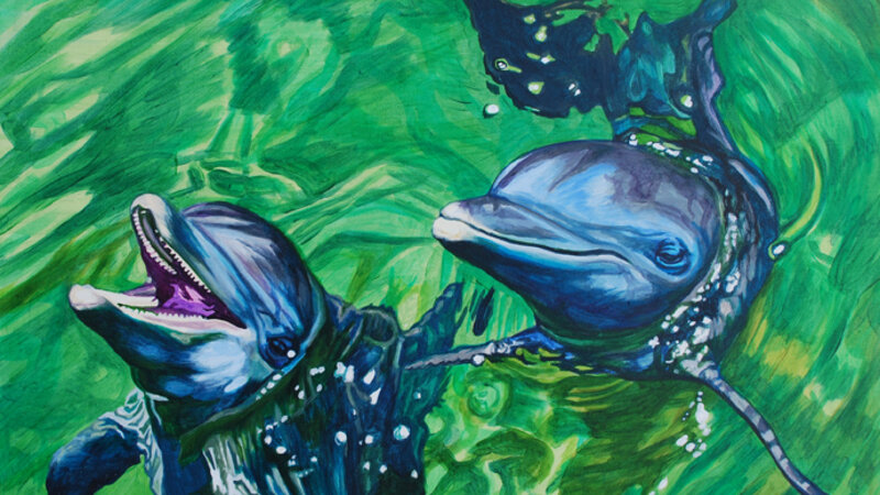 Dolphins