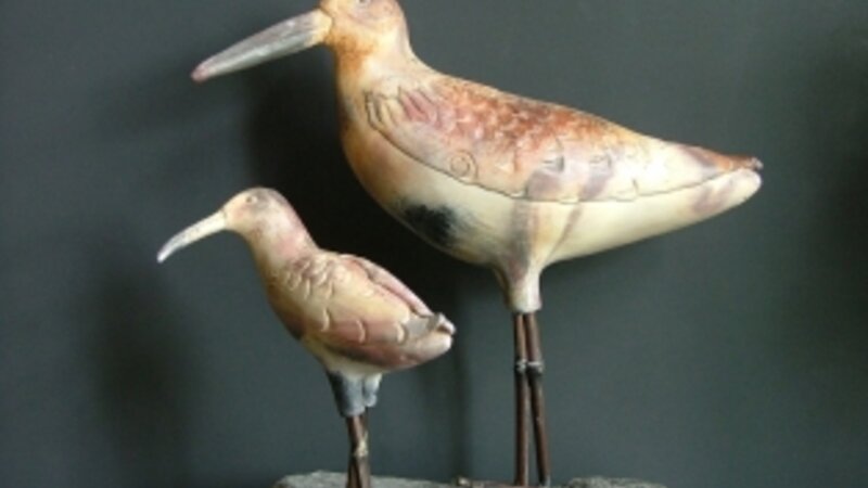 Long Billed Dowitcher mom and chick