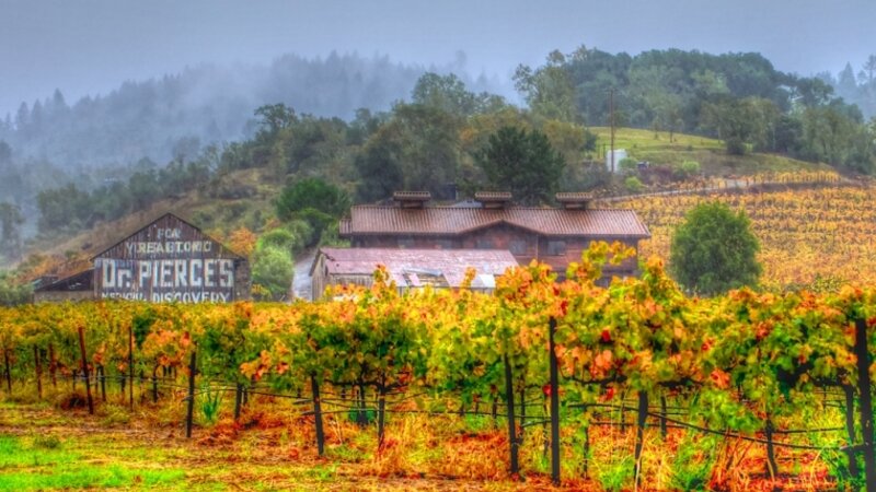 Dr. Pierce's Golden Medical Discovery