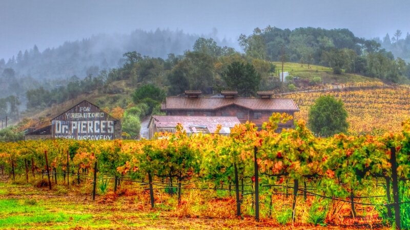 Dr. Pierce's Golden Medical Discovery