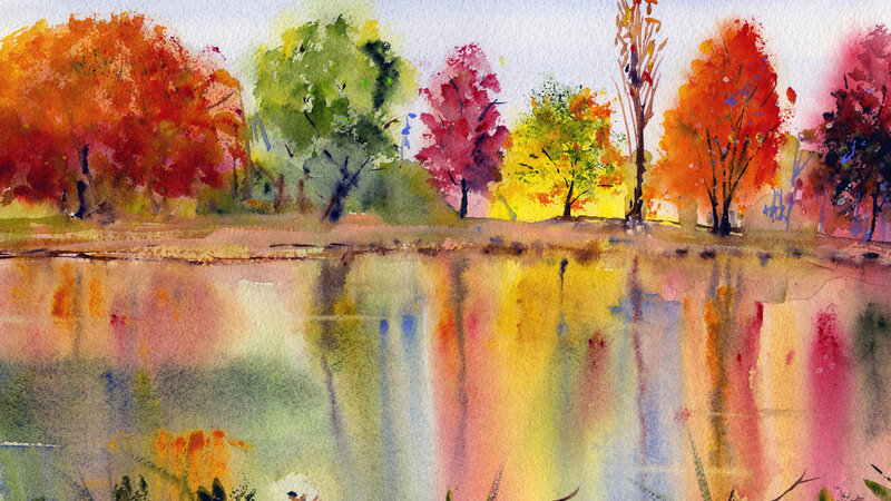 Colorful Fall Trees in full Bloom mid October