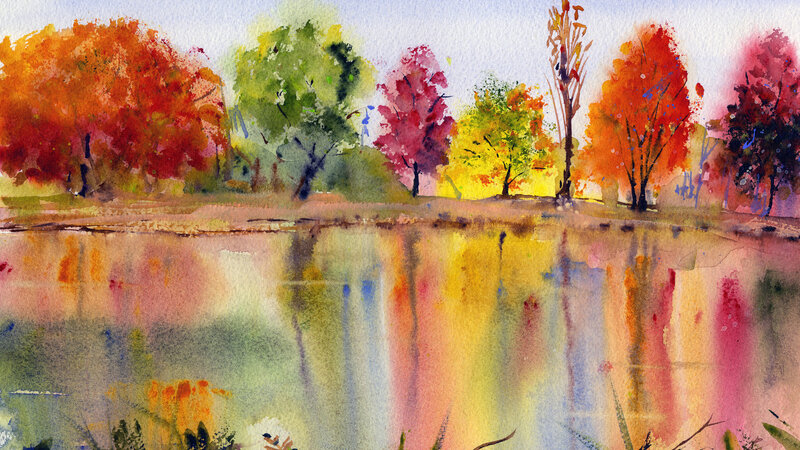 Colorful Fall Trees in full Bloom mid October