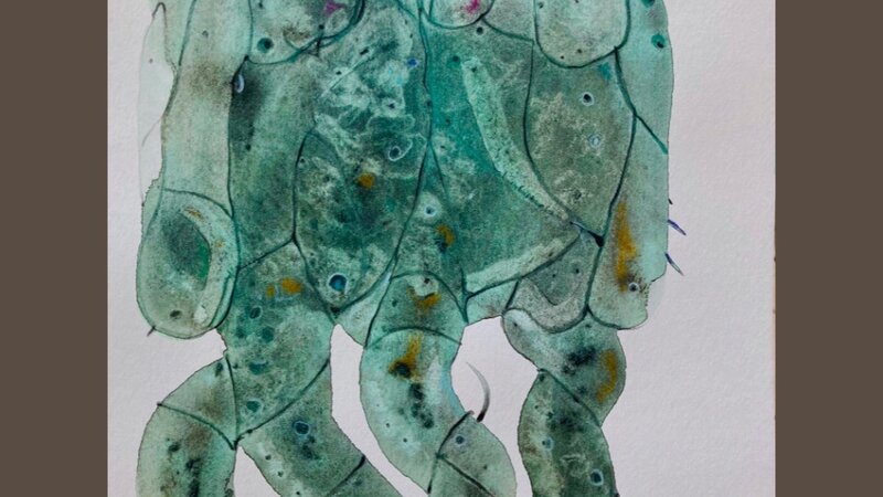 Watercolor washes, 2023