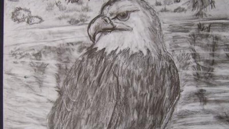 Eagle, age 9