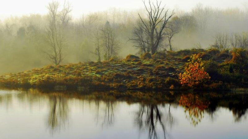 Early Morning Mist at Little Seneca Lake, Boyds, MD. Photograph by Neil Lewis Willens.