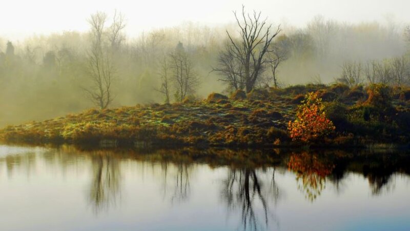 Early Morning Mist at Little Seneca Lake, Boyds, MD. Photograph by Neil Lewis Willens.