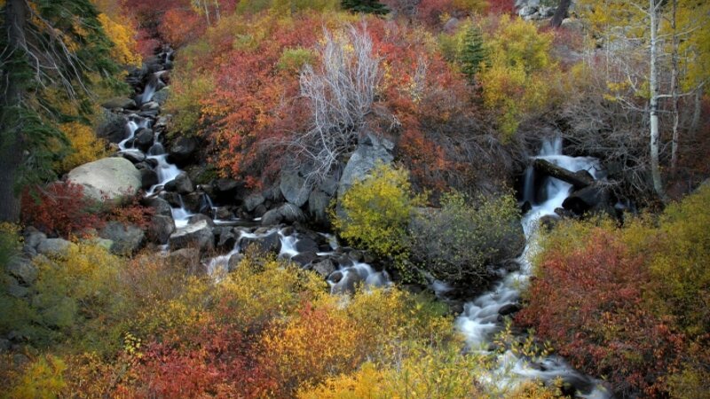 Echo Creek