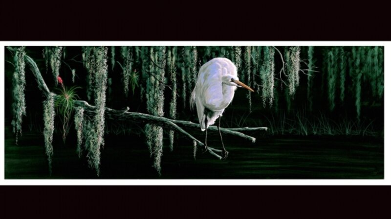 Egret and spanishmoss