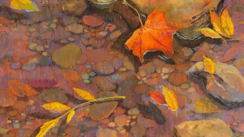 Floating leaves in clear creek