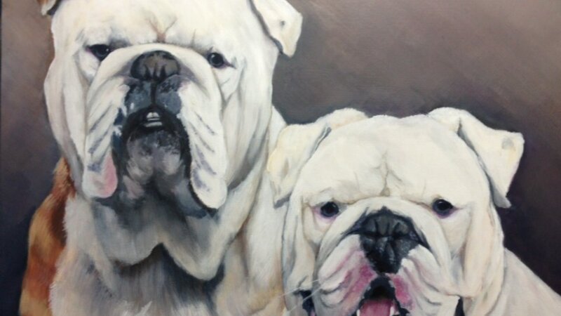Bulldogs