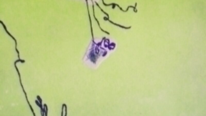 Falling from the sky