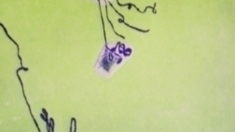 Falling from the sky