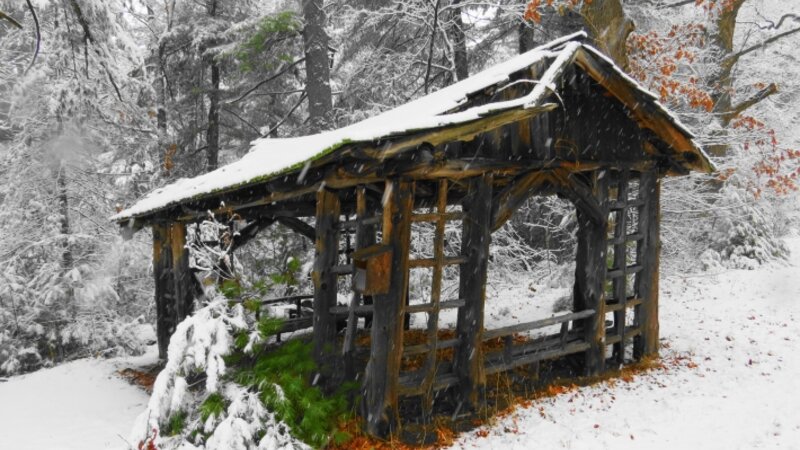 Farm Stand