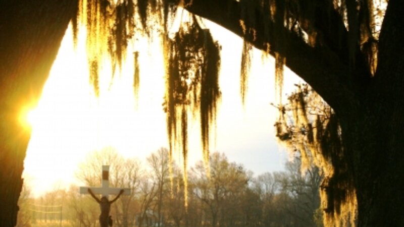 Arisen In The Morning