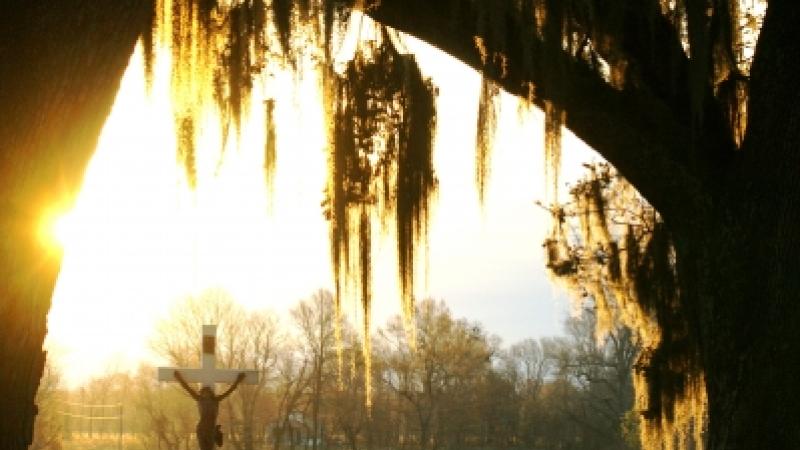 Arisen In The Morning