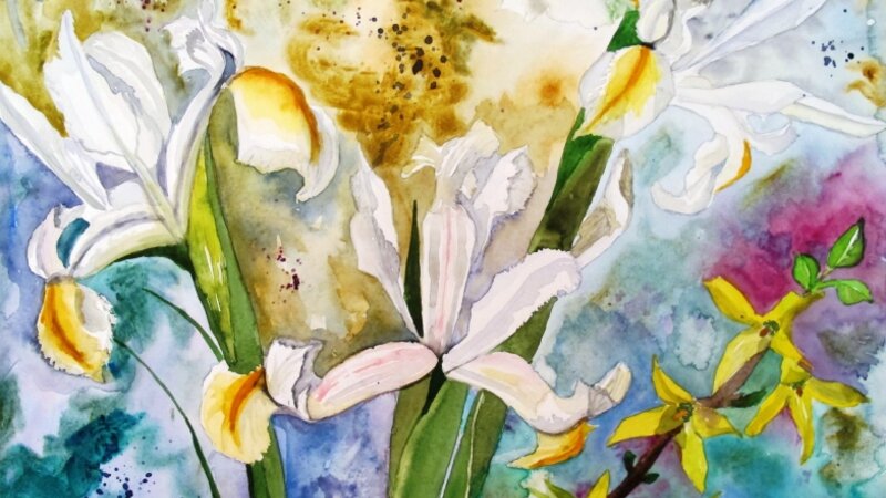 Starburst of white irises