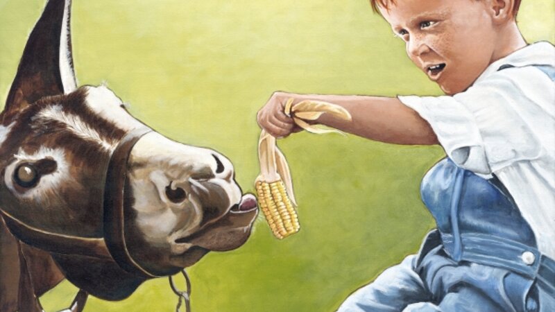 Finding the Right Bait