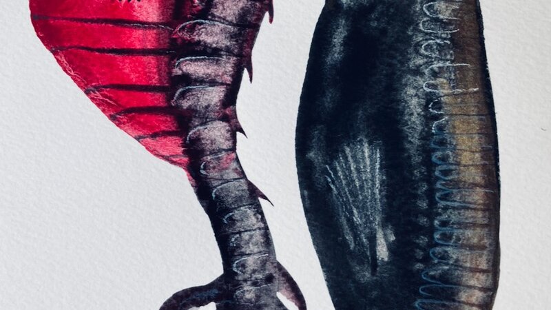 Painting in gouache and colored pencils, September, 2024. 