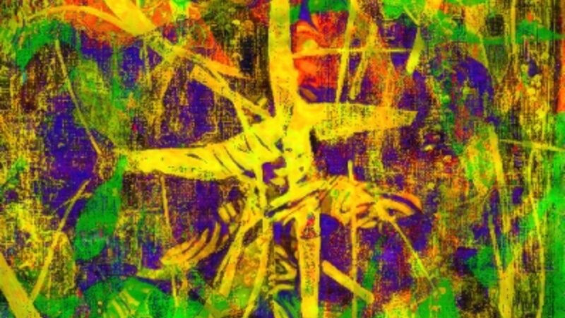 Yellow Phoenix.