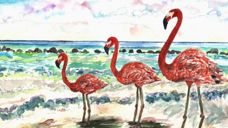 Flamingos At The Beach
