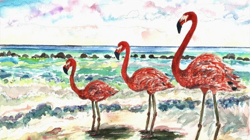 Flamingos At The Beach
