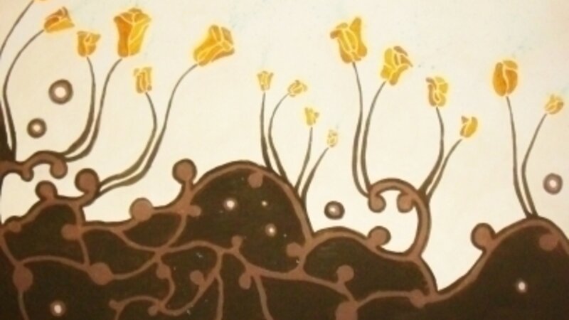 Flourishing Blossoms