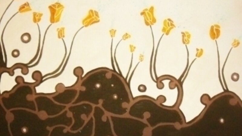 Flourishing Blossoms