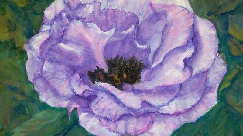 Blossom in the Clippings