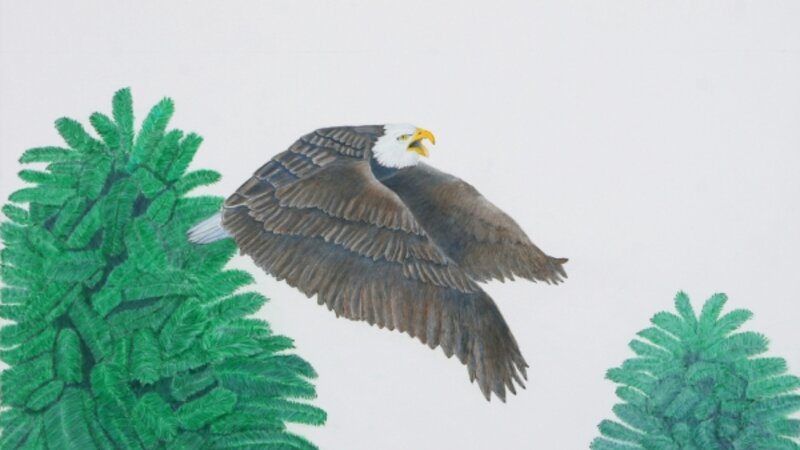 "Freedom to Fly" - Flying Eagle