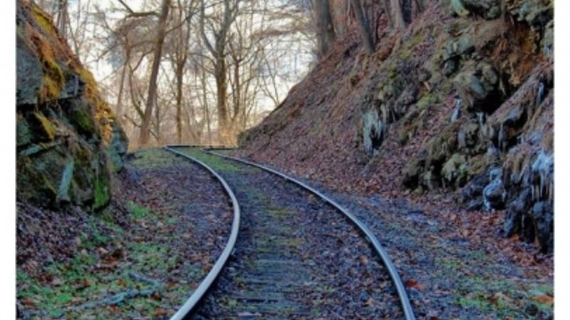 Follow my Tracks
