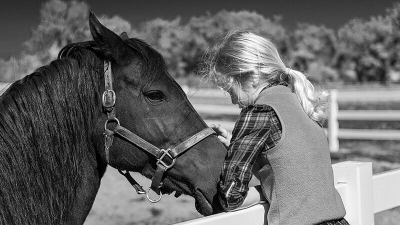 Friends
